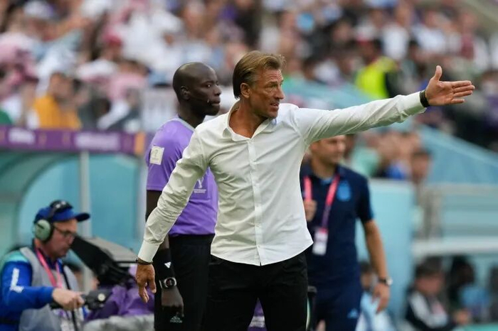 沙特国家队换帅引关注 多尼斯接任备战世界杯